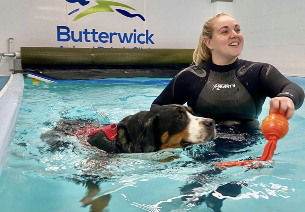 Canine Hydrotherapy and Veterinary Physiotherapy